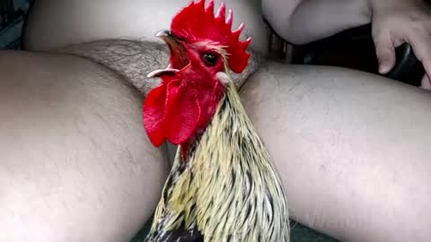 Snapshot of watcher_9 chatting on 10.04.25 classified online show from 10.04.25