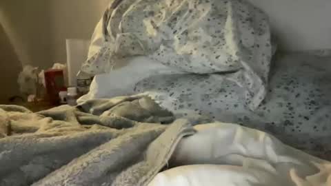 Snapshot of waveonce chatting on 03.29.26 waveonce online show from 03.29.26