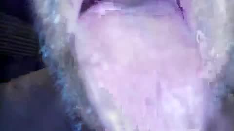 wayne1311 online show from 03.01.26