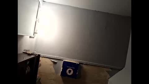 wcnmail24 online show from 01.12.26