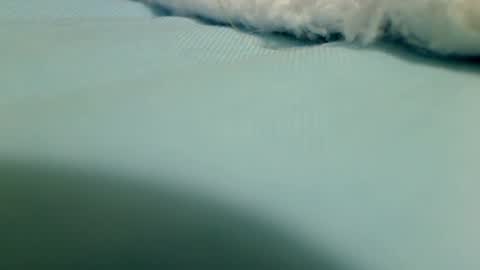 webbo809 online show from 03.16.26