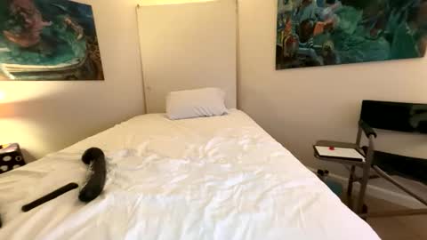 Retainer Forever Solo Album online show from 03.07.26