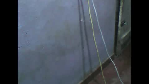 Snapshot of wela123456 chatting on 11.01.25 wela123456 online show from 11.01.25