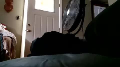 welldny online show from 09.21.25