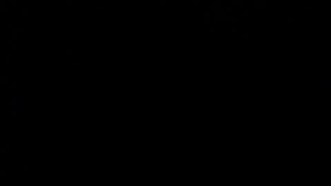 wellingtont online show from 12.20.25