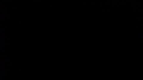 wellingtont online show from 02.01.26