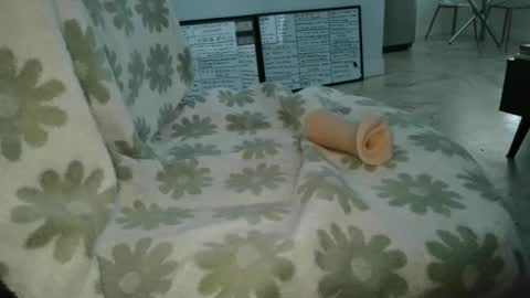 Frank and Barbie online show from 04.11.26