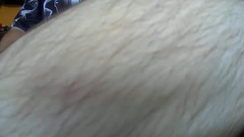 Snapshot of werewolf549 chatting on 10.14.25 werewolf549 online show from 10.14.25