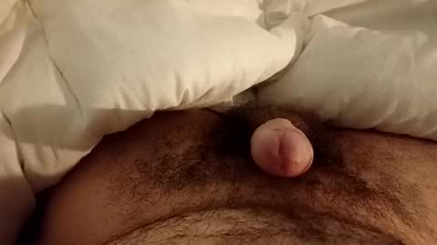 Werty online show from 12.12.24