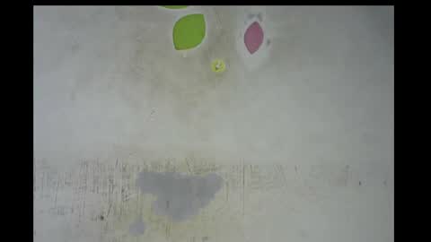 Bella online show from 11.14.25