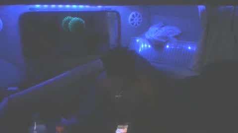 Snapshot of wetdreamsz101 chatting on 01.19.26 wetdreamz101 online show from 01.19.26