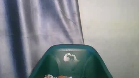 wetfatpussy_ online show from 02.12.26