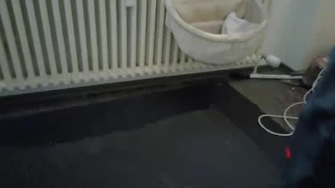 Wetgerman online show from 03.11.25