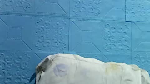 wettyhottie69 online show from 07.01.26