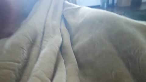 what_whaaat online show from 11.03.25