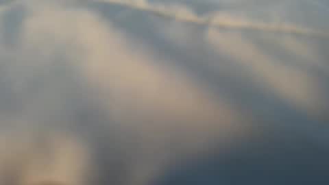 whatever_i_have_to_do online show from 03.13.26