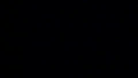 whitehead_lion online show from 01.14.26