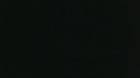 whitehead_lion online show from 03.14.26