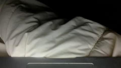 Snapshot of wholesomebull00 chatting on 11.10.25 wholesomebull00 online show from 11.10.25