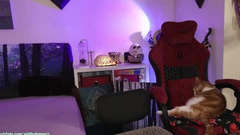 Gretchen  Jimmy online show from 03.29.26