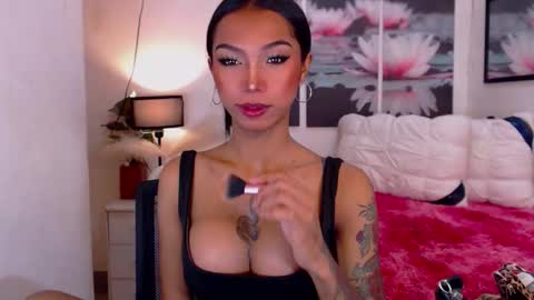 wildara online show from 09.11.25