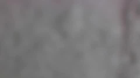 xxLavanderxx online show from 06.04.26