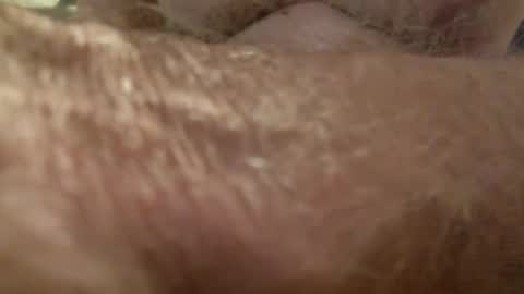 wildinwest online show from 10.08.25