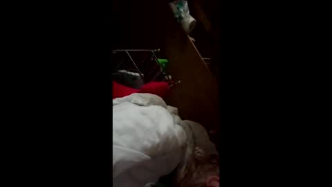 Snapshot of wildkatxx20 chatting on 03.19.26 wildkatxx20 online show from 03.19.26