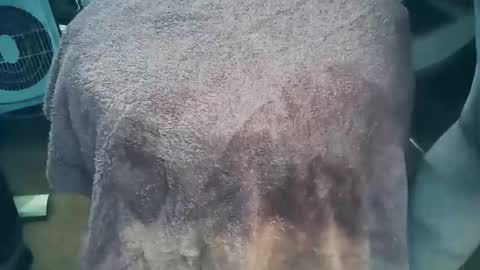 Snapshot of wildman6 chatting on 03.26.26 wildman6 online show from 03.26.26