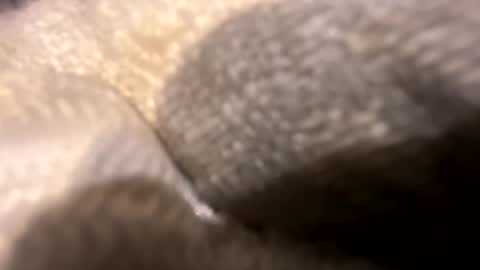 Snapshot of wiley0520 chatting on 10.27.25 wiley0520 online show from 10.27.25