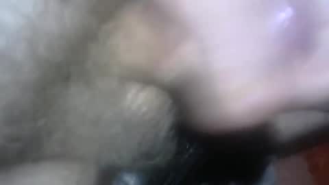 willcam22 online show from 04.15.26