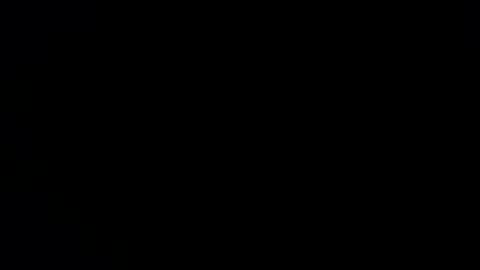 williewants online show from 11.28.25