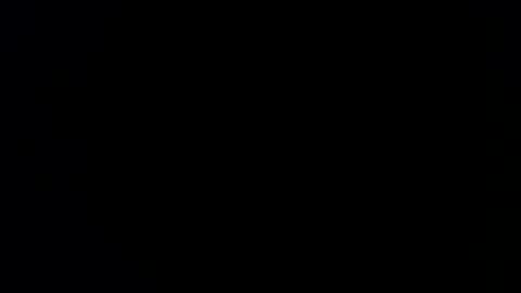 williewants online show from 02.13.26