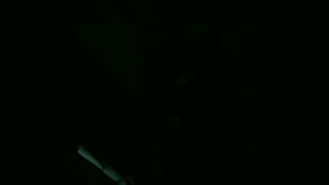 Willhedoher online show from 09.11.25