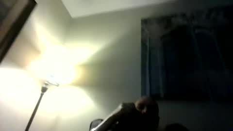 Willhedoher online show from 03.01.26