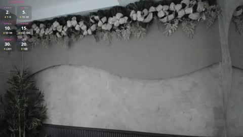 Ms Willow online show from 12.29.24