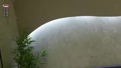 Snapshot of willow_hendrix chatting on 03.21.26 Ms Willow online show from 03.21.26