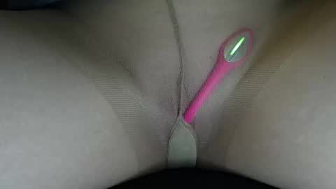 Willow online show from 02.17.26