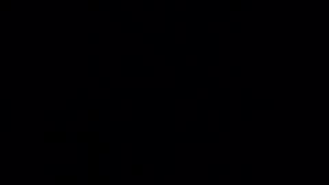 willy_dirk online show from 09.09.25