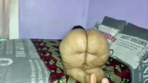 wilmaassylum online show from 02.07.26