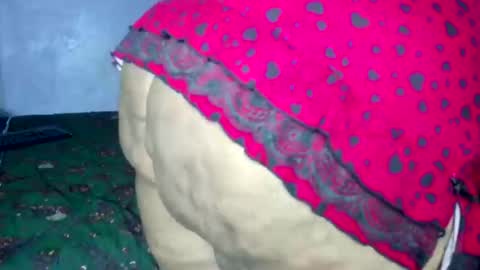 wilmaassylum online show from 03.04.26