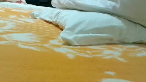 windowpane online show from 03.11.25