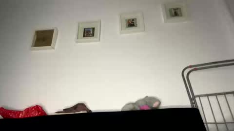 witalos online show from 01.05.26