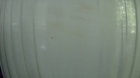 Mater online show from 10.07.25