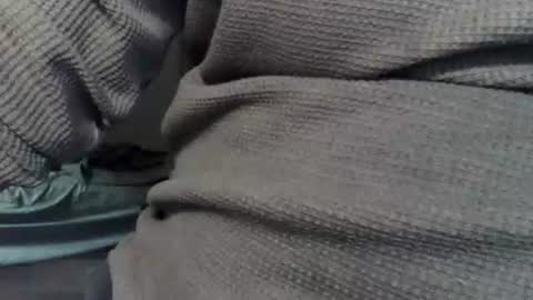 wolfreapsurass online show from 02.24.26