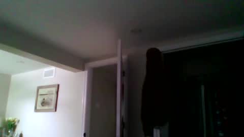 woodeee77 online show from 03.15.26