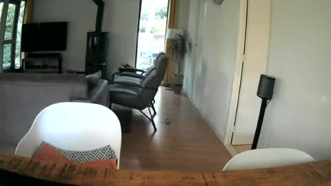 woodwurm and Snoeske online show from 06.25.26
