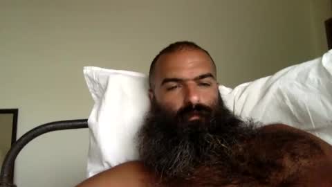 woof_wolf37 online show from 09.09.25