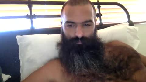 woof_wolf37 online show from 10.20.25