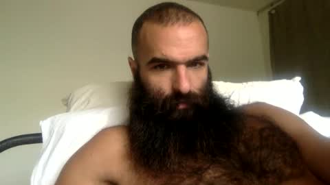 woof_wolf37 online show from 04.12.26